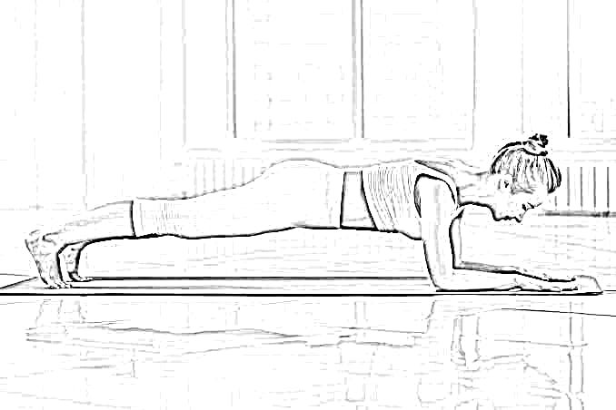 dolphin plank pose