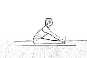 seated forward bend